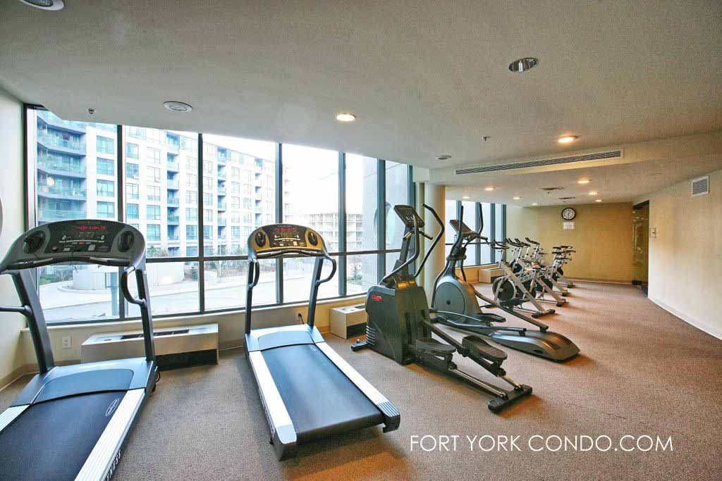 219 Fort York Amenities