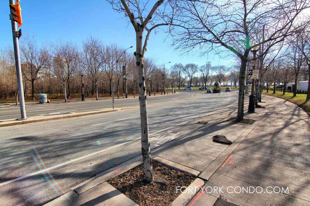 Fort York Blvd looking south towards lake ontario