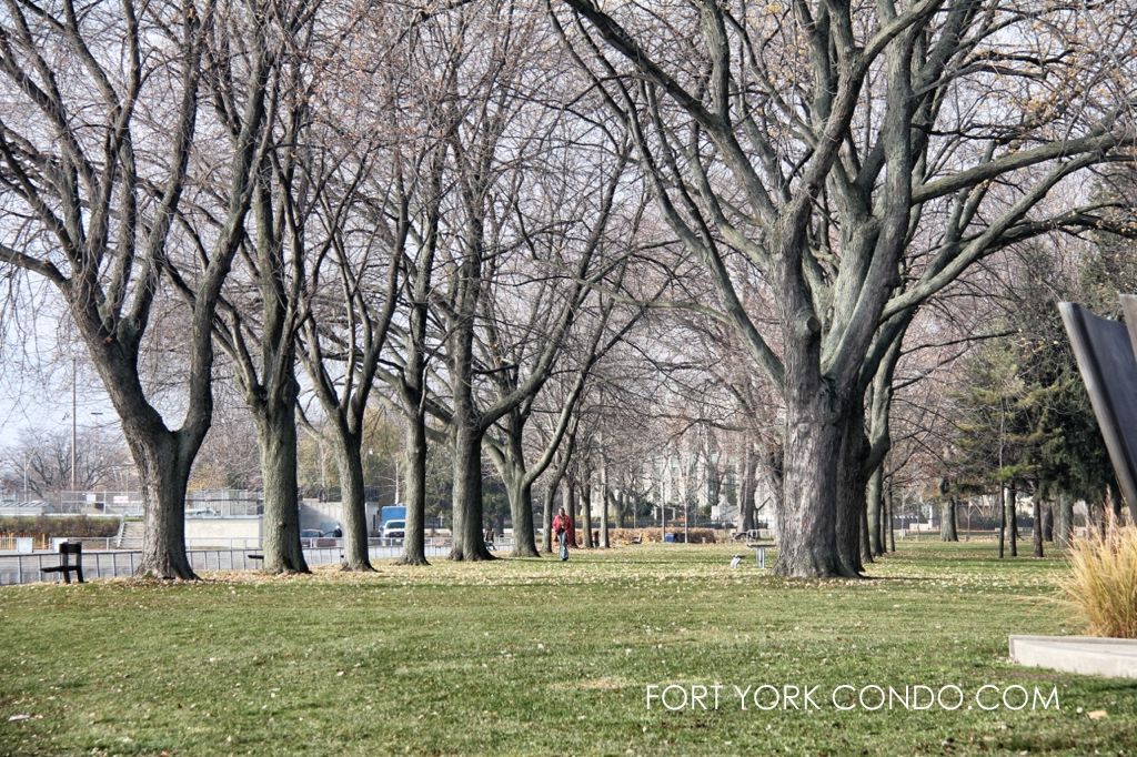 Memorial grove of trees in Coronation Park