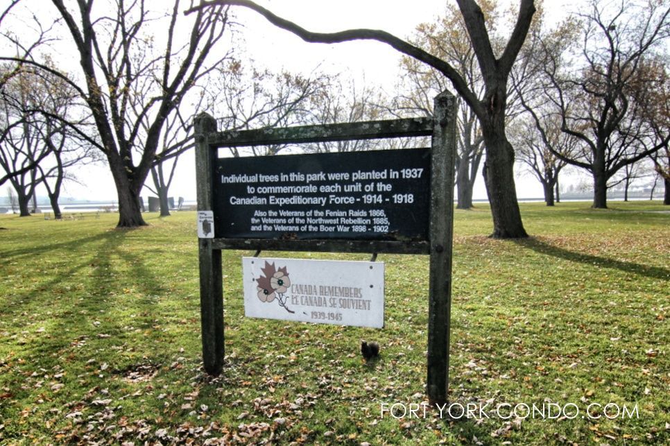 Military veterans remembered with trees in Coronation Park